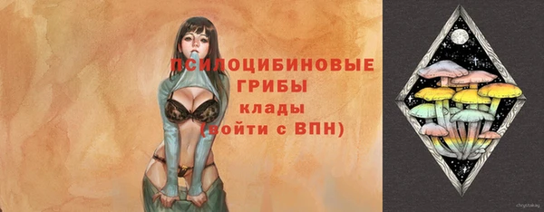 соль ск Карталы
