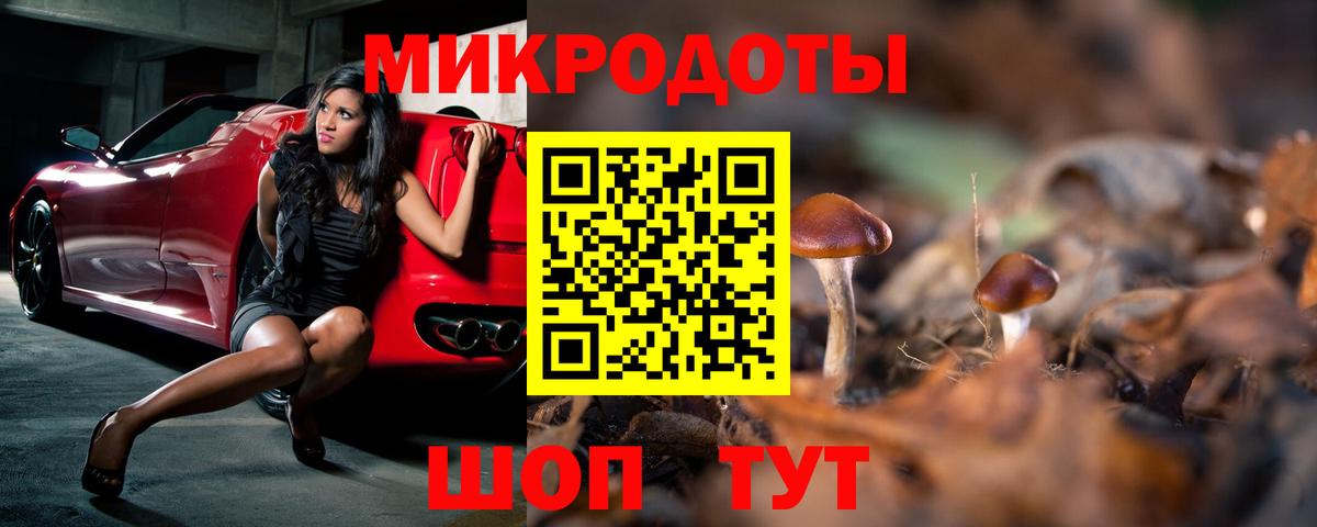 Лесозаводск  Псилоцибиновые грибы мицелий  Вход с VPN 